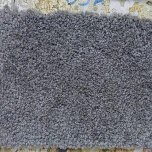 VVIP Wall To Wall Carpet