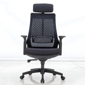Ergonomic Executive Office Chair